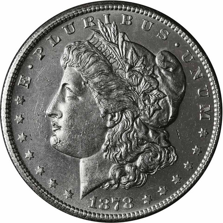1878 Morgan Silver Dollar Cull